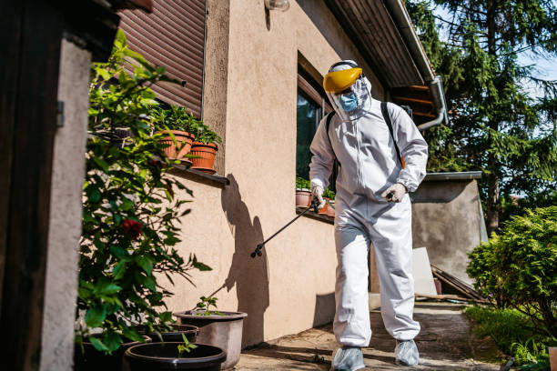 St Petersburg, FL Pest Control Company