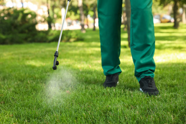 Best Commercial Pest Control Services  in St Petersburg, FL